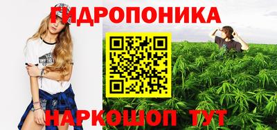 наркотики Будённовск